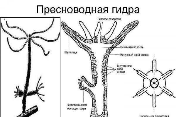 Кракен маркет только через тор скачать