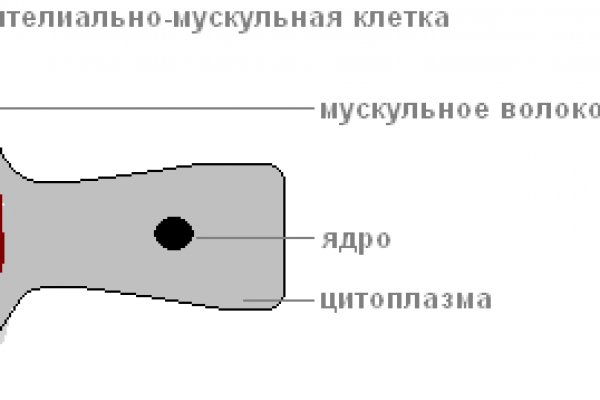 Актуальные ссылки кракен 2025